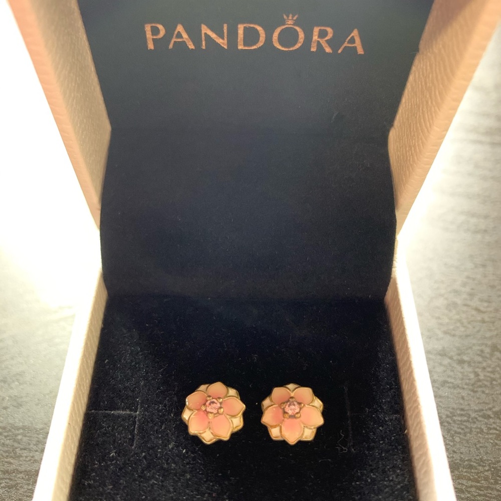Pandora earrings